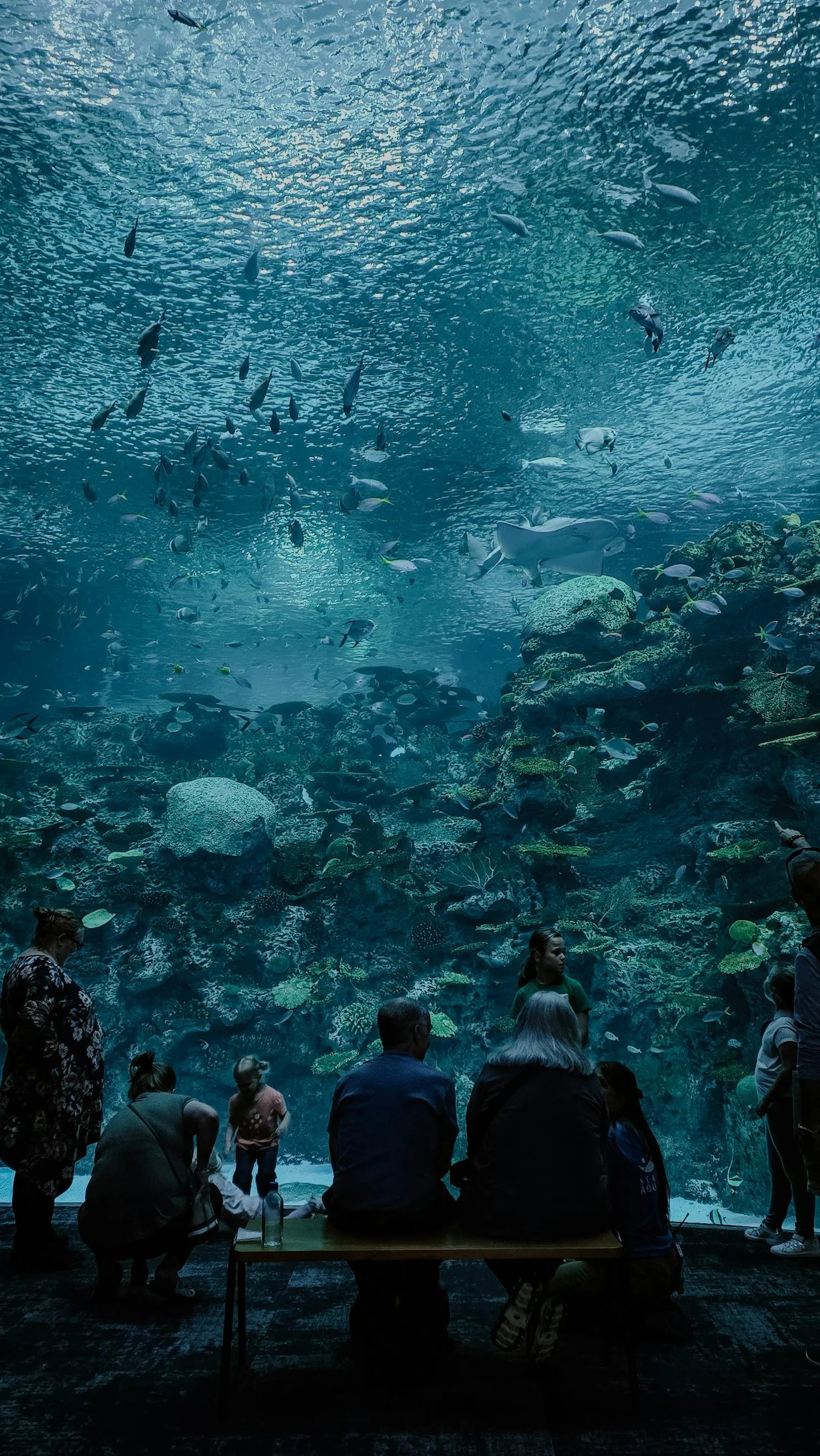 Public aquarium application